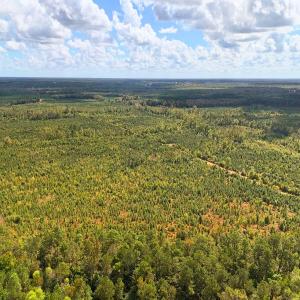 Photo #28 of Off Hwy 11 , Kenansville, NC 269.6 acres