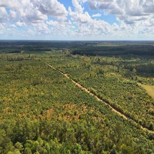 Photo #29 of Off Hwy 11 , Kenansville, NC 269.6 acres