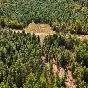 Photo #35 of Off Hwy 11 , Kenansville, NC 269.6 acres