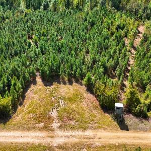 Photo #37 of Off Hwy 11 , Kenansville, NC 269.6 acres