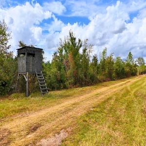 Photo #38 of Off Hwy 11 , Kenansville, NC 269.6 acres