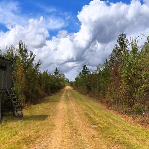 Photo #39 of Off Hwy 11 , Kenansville, NC 269.6 acres