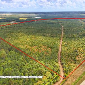 Photo #6 of Off Hwy 11 , Kenansville, NC 269.6 acres