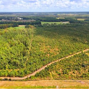 Photo #7 of Off Hwy 11 , Kenansville, NC 269.6 acres