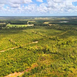 Photo #8 of Off Hwy 11 , Kenansville, NC 269.6 acres