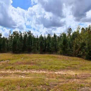 Photo #43 of Off Hwy 11 , Kenansville, NC 269.6 acres