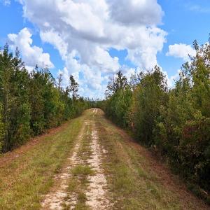 Photo #44 of Off Hwy 11 , Kenansville, NC 269.6 acres