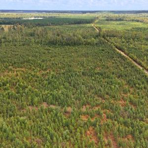 Photo #47 of Off Hwy 11 , Kenansville, NC 269.6 acres