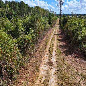 Photo #49 of Off Hwy 11 , Kenansville, NC 269.6 acres