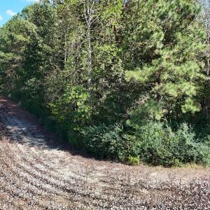 Photo #10 of Off Little Low Ground Rd, Emporia, VA 4.6 acres