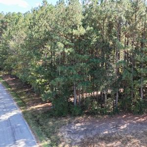 Photo #11 of Off Little Low Ground Rd, Emporia, VA 4.6 acres