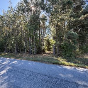 Photo #13 of Off Little Low Ground Rd, Emporia, VA 4.6 acres