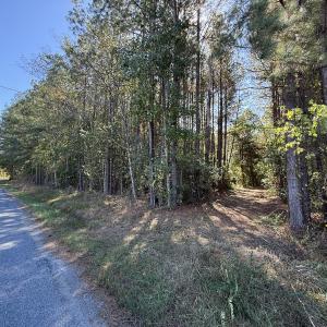 Photo #14 of Off Little Low Ground Rd, Emporia, VA 4.6 acres