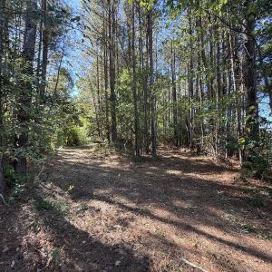 Photo #15 of Off Little Low Ground Rd, Emporia, VA 4.6 acres