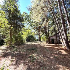 Photo #16 of Off Little Low Ground Rd, Emporia, VA 4.6 acres