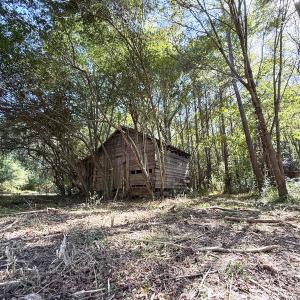 Photo #19 of Off Little Low Ground Rd, Emporia, VA 4.6 acres