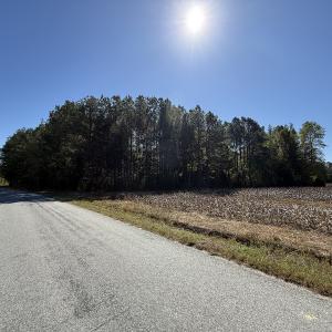 Photo #22 of Off Little Low Ground Rd, Emporia, VA 4.6 acres