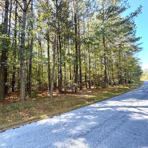 Photo #24 of Off Little Low Ground Rd, Emporia, VA 4.6 acres