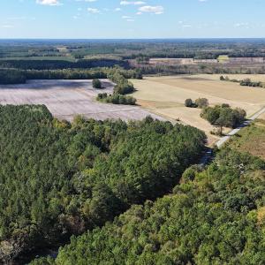 Photo #3 of Off Little Low Ground Rd, Emporia, VA 4.6 acres