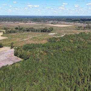 Photo #5 of Off Little Low Ground Rd, Emporia, VA 4.6 acres