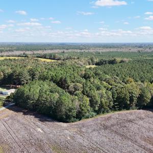 Photo #7 of Off Little Low Ground Rd, Emporia, VA 4.6 acres