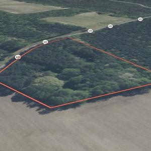 Photo #8 of Off Little Low Ground Rd, Emporia, VA 4.6 acres