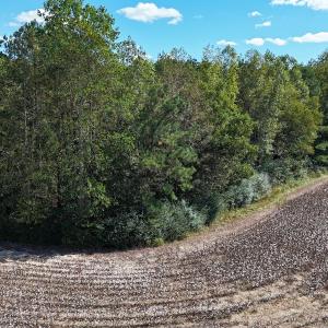 Photo #9 of Off Little Low Ground Rd, Emporia, VA 4.6 acres