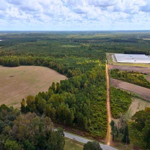 Photo #2 of Off Hwy 11 , Kenansville, NC 269.6 acres