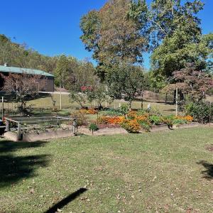Photo #17 of 1504 Hutchison Rd. New Castle, VA, New Castle , VA 89.0 acres