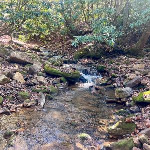 Photo #18 of 1504 Hutchison Rd. New Castle, VA, New Castle , VA 89.0 acres