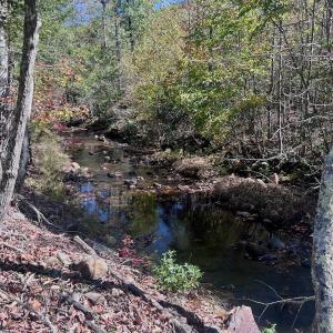 Photo #19 of 1504 Hutchison Rd. New Castle, VA, New Castle , VA 89.0 acres