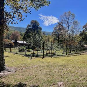 Photo #20 of 1504 Hutchison Rd. New Castle, VA, New Castle , VA 89.0 acres