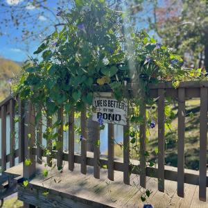 Photo #26 of 1504 Hutchison Rd. New Castle, VA, New Castle , VA 89.0 acres