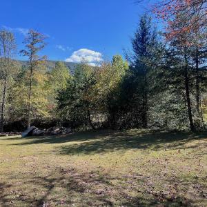 Photo #44 of 1504 Hutchison Rd. New Castle, VA, New Castle , VA 89.0 acres