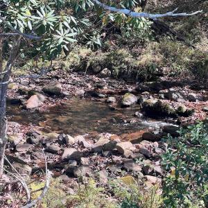 Photo #48 of 1504 Hutchison Rd. New Castle, VA, New Castle , VA 89.0 acres