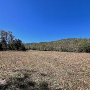 Photo #49 of 1504 Hutchison Rd. New Castle, VA, New Castle , VA 89.0 acres