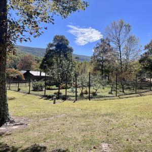 Photo #50 of 1504 Hutchison Rd. New Castle, VA, New Castle , VA 89.0 acres