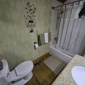 Photo #52 of 1504 Hutchison Rd. New Castle, VA, New Castle , VA 89.0 acres