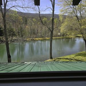 Photo #57 of 1504 Hutchison Rd. New Castle, VA, New Castle , VA 89.0 acres