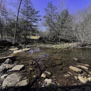 Photo #63 of 1504 Hutchison Rd. New Castle, VA, New Castle , VA 89.0 acres