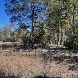 Photo #66 of 1504 Hutchison Rd. New Castle, VA, New Castle , VA 89.0 acres