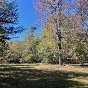 Photo #69 of 1504 Hutchison Rd. New Castle, VA, New Castle , VA 89.0 acres
