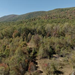 Photo #71 of 1504 Hutchison Rd. New Castle, VA, New Castle , VA 89.0 acres