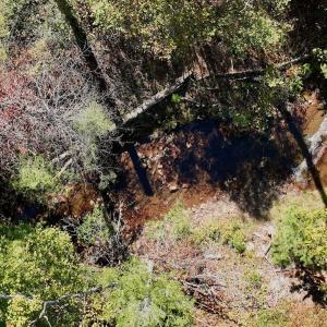 Photo #75 of 1504 Hutchison Rd. New Castle, VA, New Castle , VA 89.0 acres