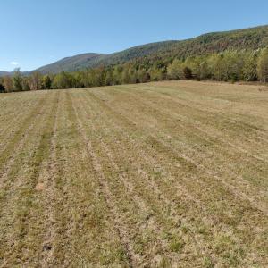 Photo #77 of 1504 Hutchison Rd. New Castle, VA, New Castle , VA 89.0 acres