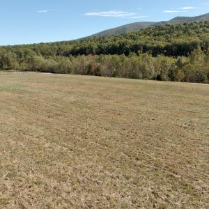 Photo #78 of 1504 Hutchison Rd. New Castle, VA, New Castle , VA 89.0 acres