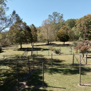 Photo #83 of 1504 Hutchison Rd. New Castle, VA, New Castle , VA 89.0 acres