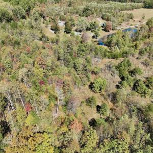 Photo #85 of 1504 Hutchison Rd. New Castle, VA, New Castle , VA 89.0 acres