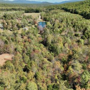 Photo #87 of 1504 Hutchison Rd. New Castle, VA, New Castle , VA 89.0 acres