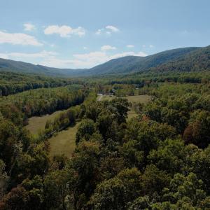 Photo #91 of 1504 Hutchison Rd. New Castle, VA, New Castle , VA 89.0 acres